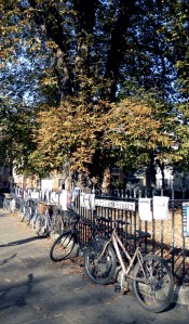 Cambridge (UK not MA)