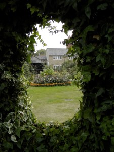 Fern window overlooking Capel Manor. 